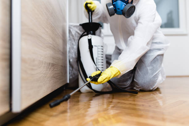 Best Pest Control for Businesses  in Massillon, OH