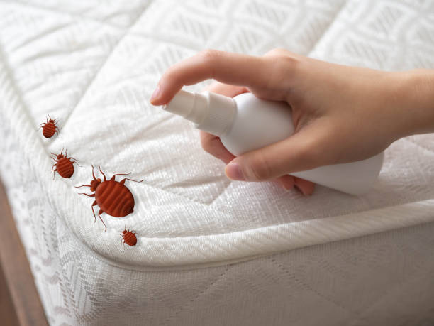 Pest Prevention Services in Massillon, OH