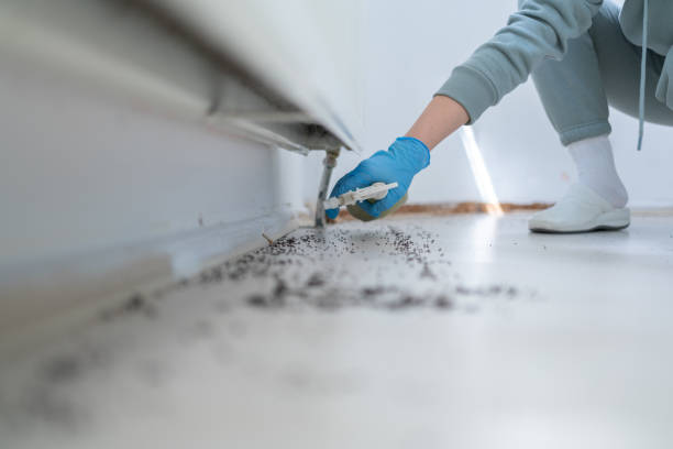 Best Best Pest Control Companies  in Massillon, OH